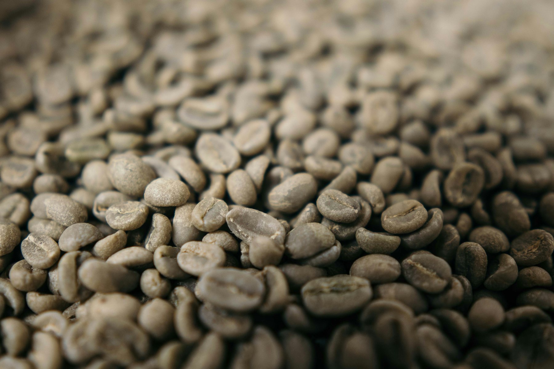 Green bean kopi
